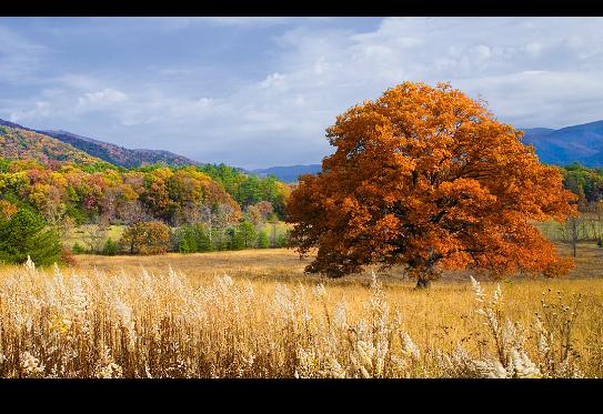 Cades Cove