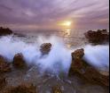 Coral Cove 2