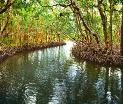 OysterBay