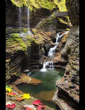 Watkins Glen