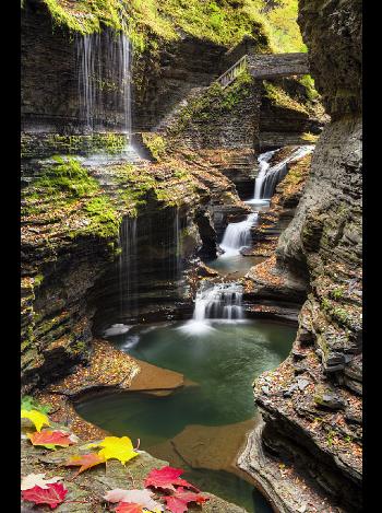 Watkins Glen